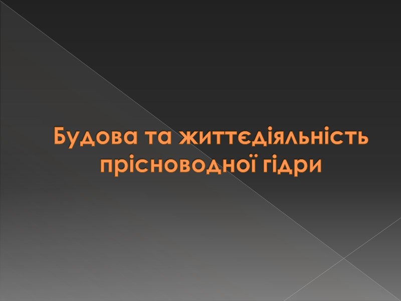 Будова та життєдіяльність прісноводної гідри